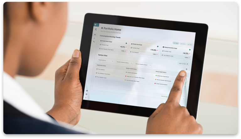 person looking at tablet